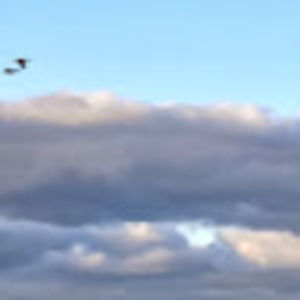 Meet your Posher, Ann m